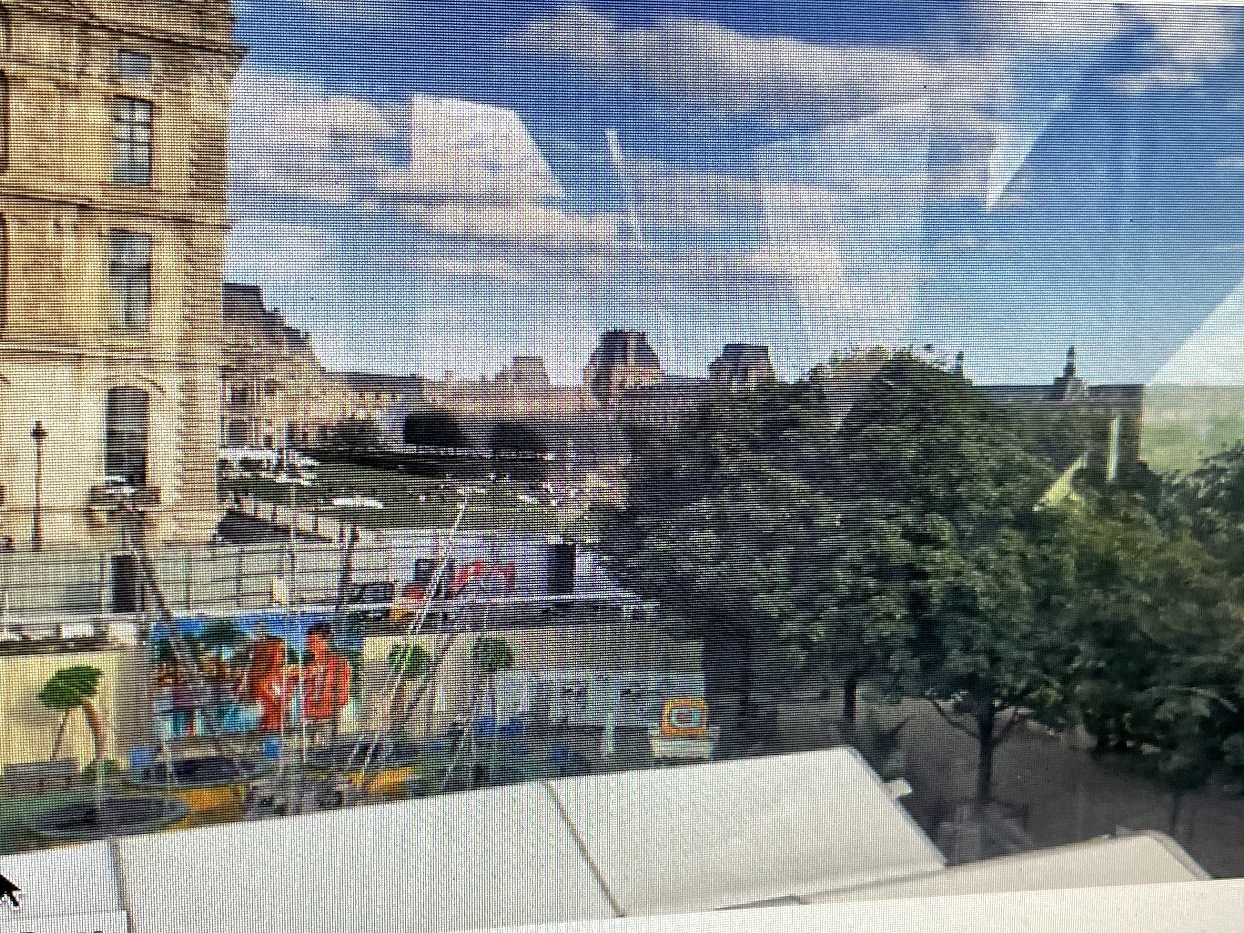 Paris from the Ferris wheel