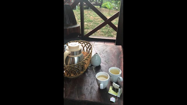 Cup of tea