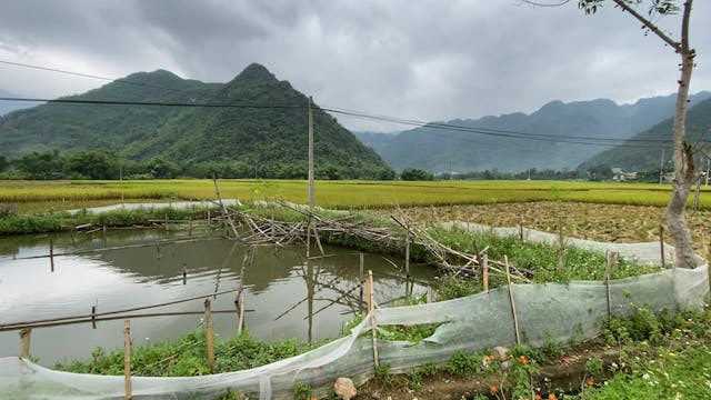 Country side Hoi An