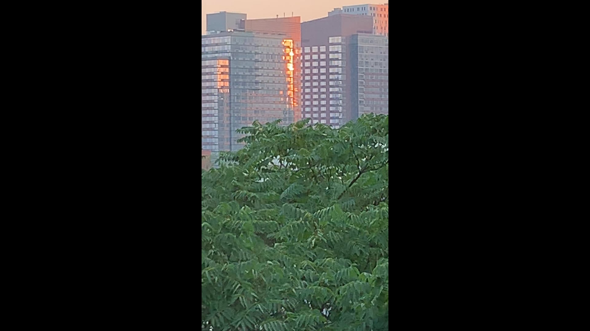 Sunrise in nyc on the 4th of July