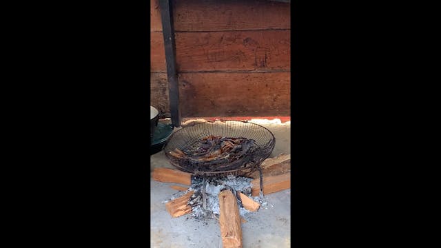 Smoking the fish