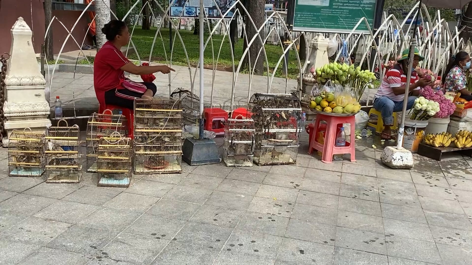 Offers for the temples