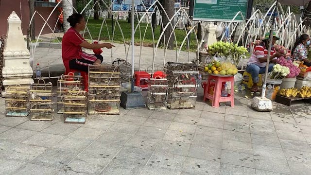 Offers for the temples