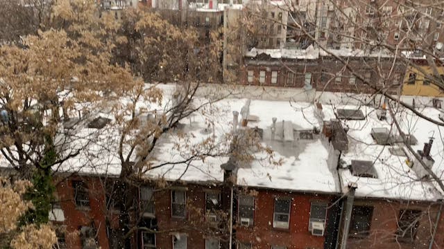 Snow in NYC