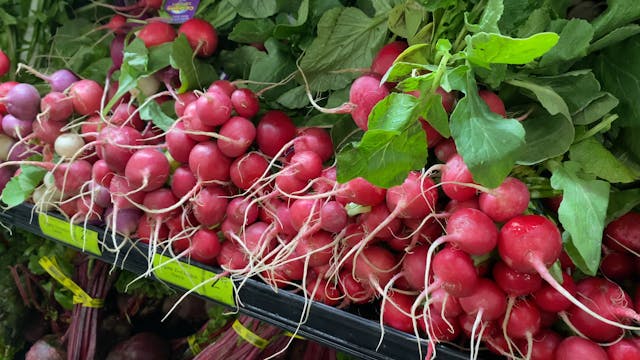 RADISH