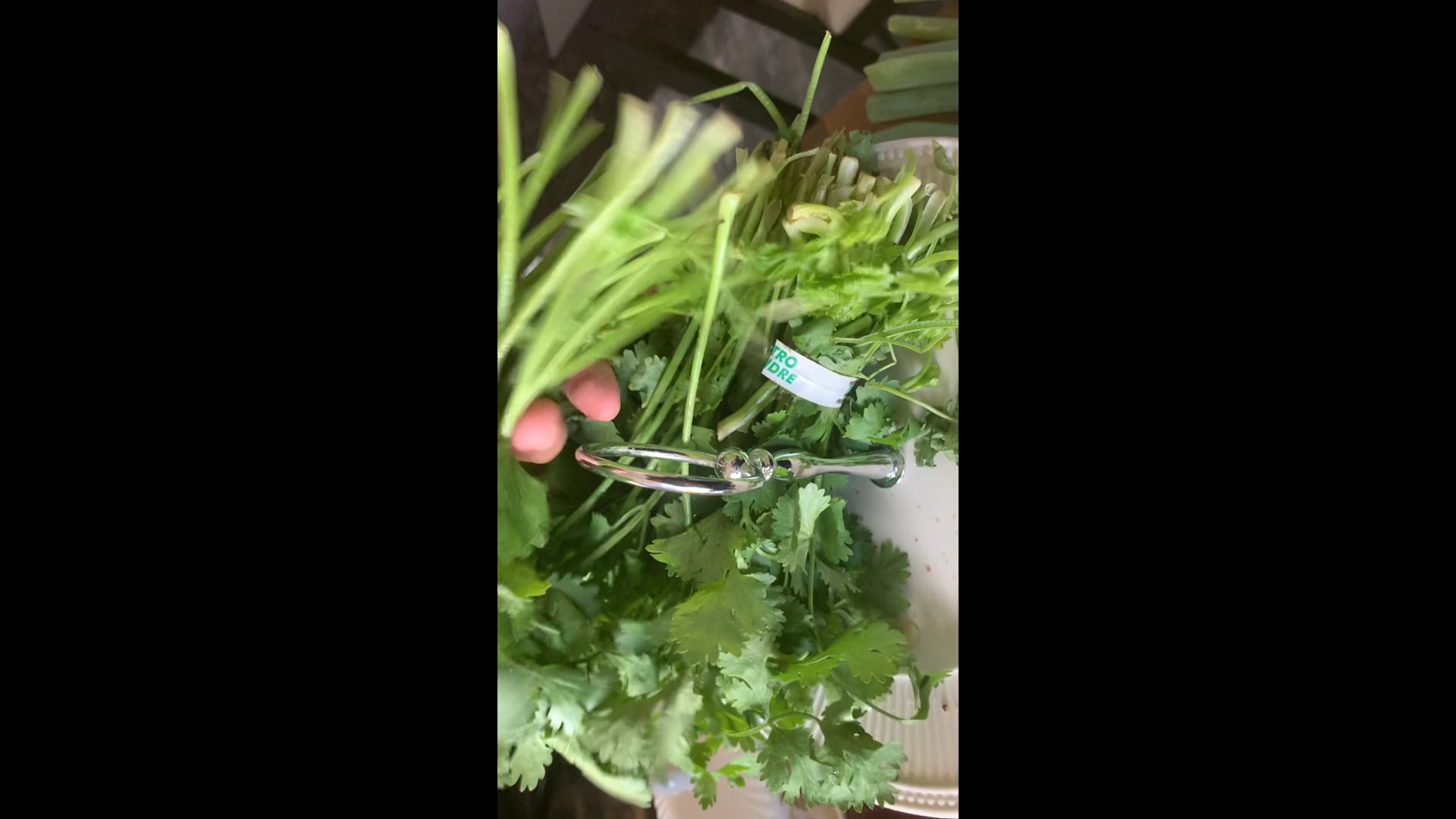 Fresh cilantro