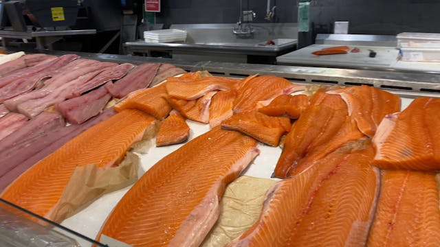 SALMON