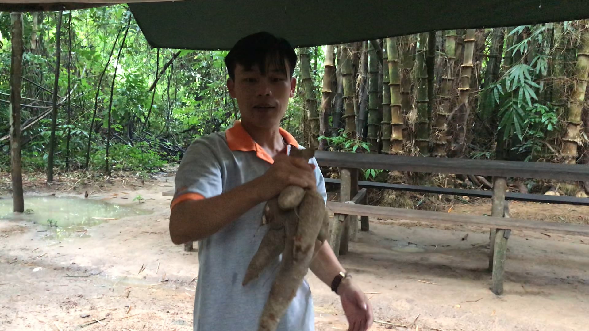 They serve us Yucca with crushed peanuts