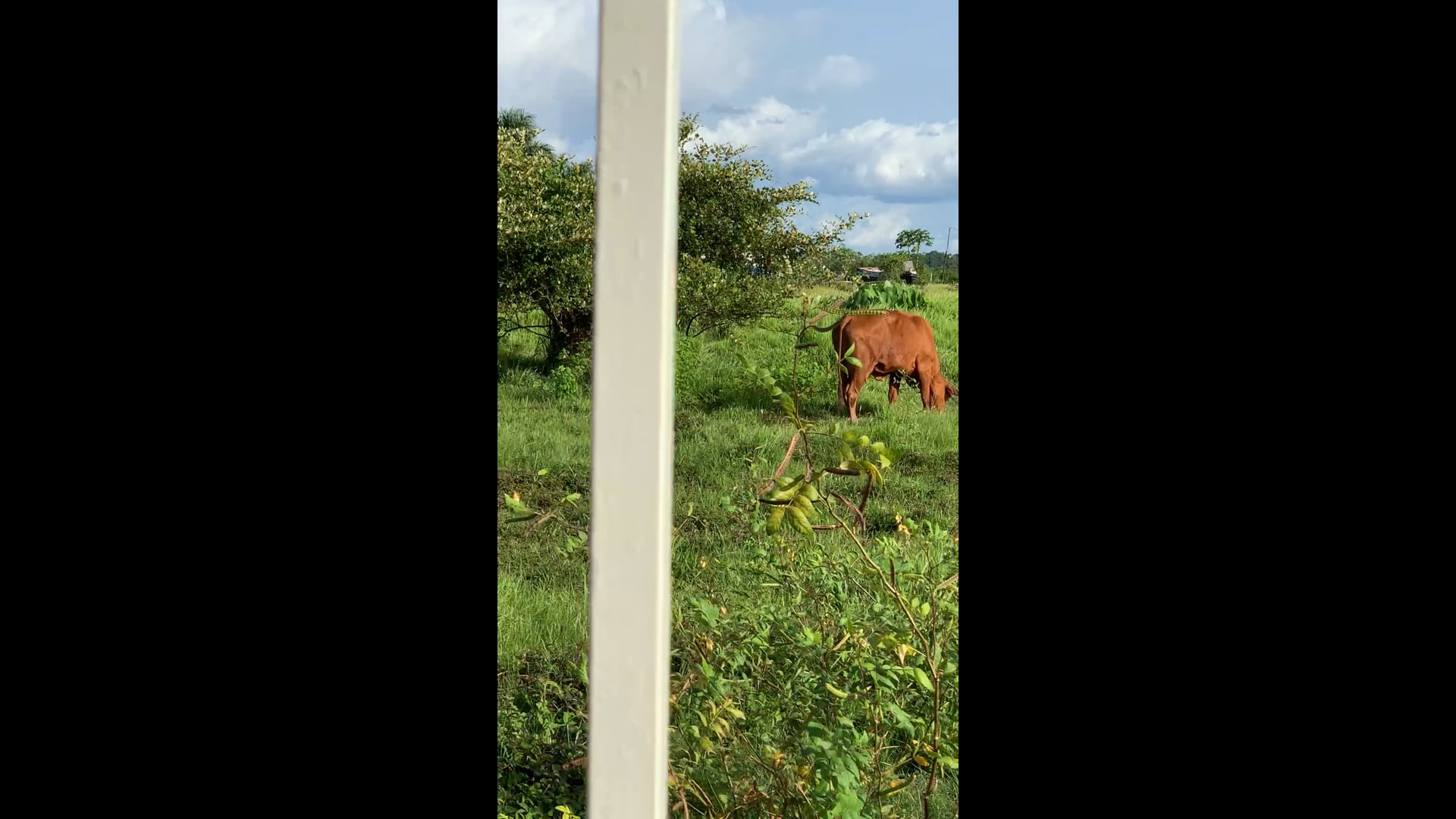 On our way from the supermarket back to the hotel