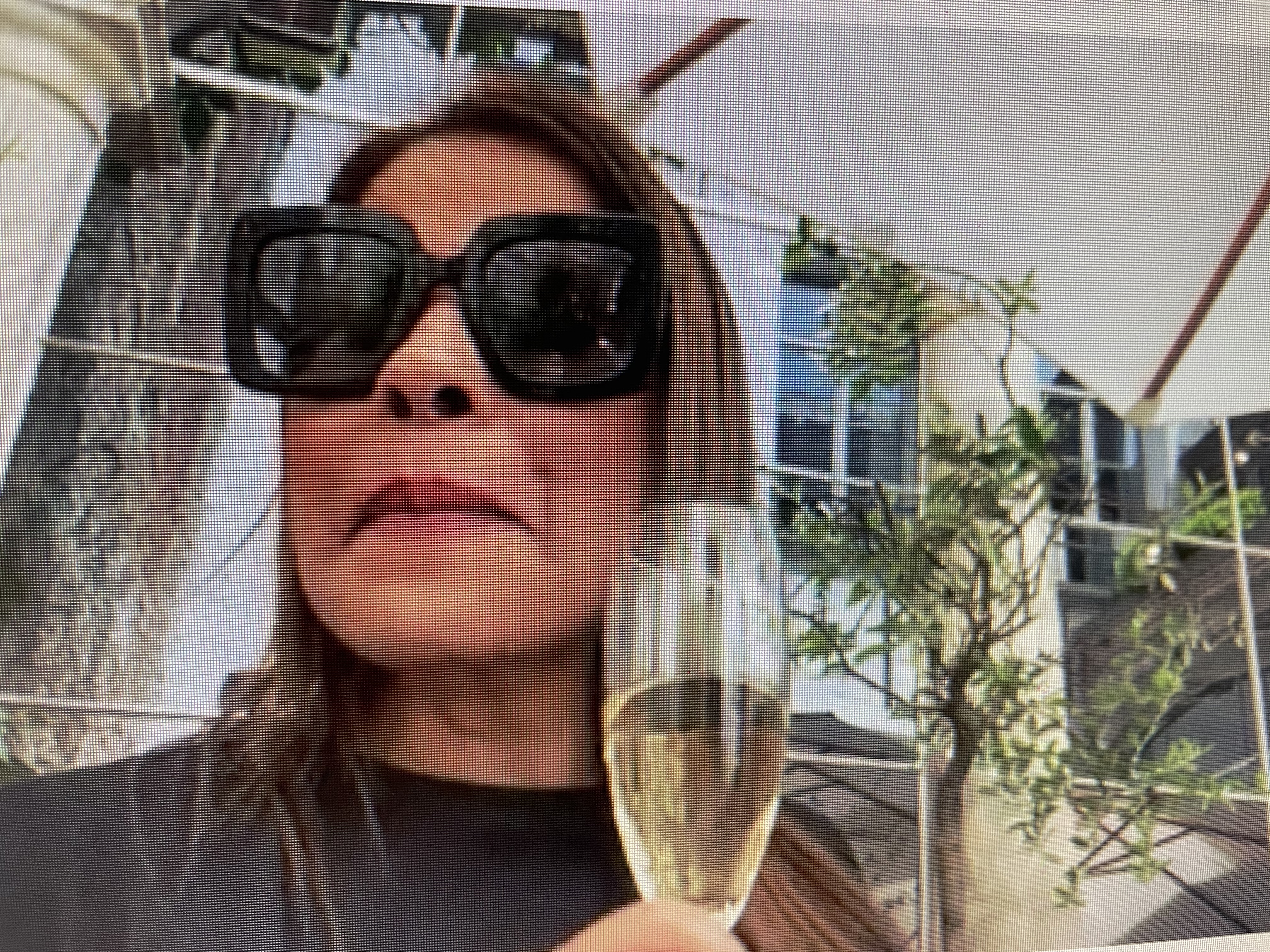 Sir Anthony van Dijck