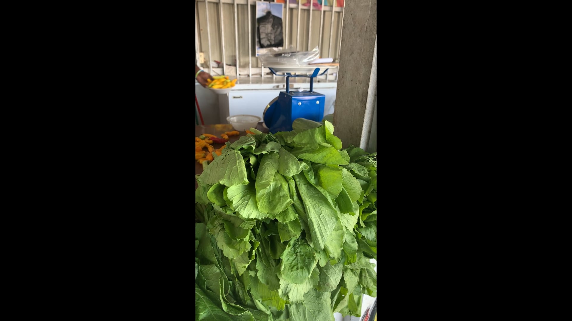 We stopped for some water