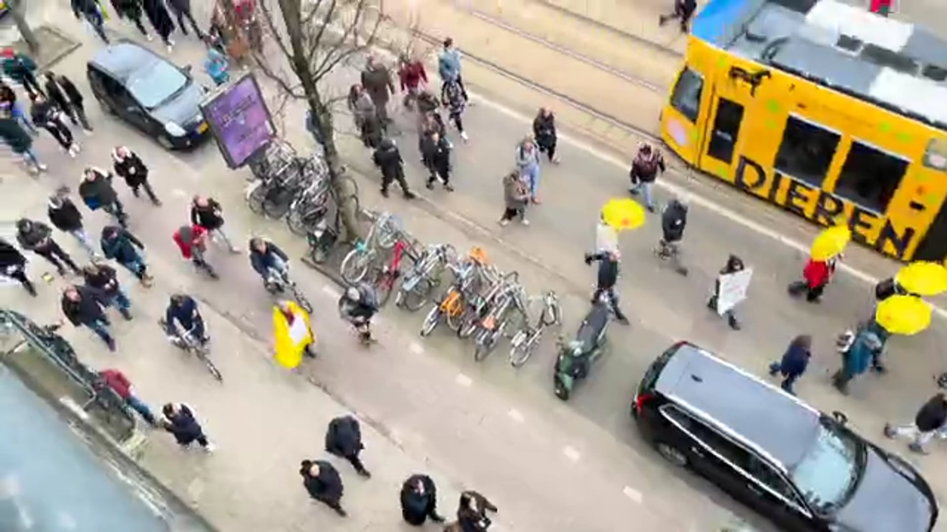 Protesting in the Netherlands