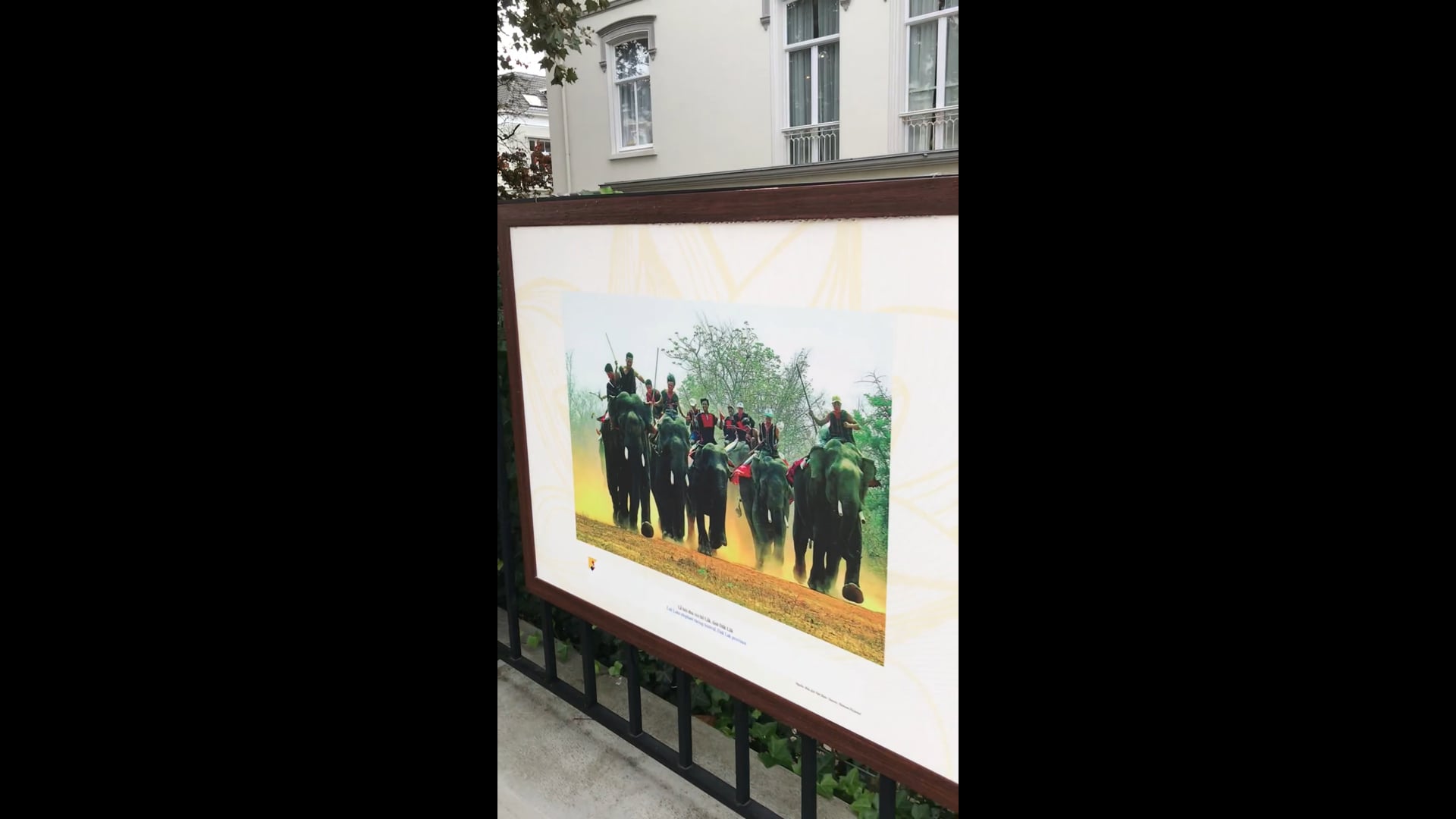 Den Hague for my Vietnam Visa