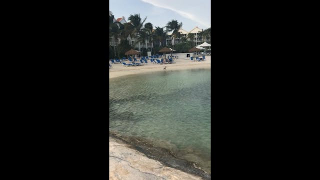 Private beach of the renaissance hotel