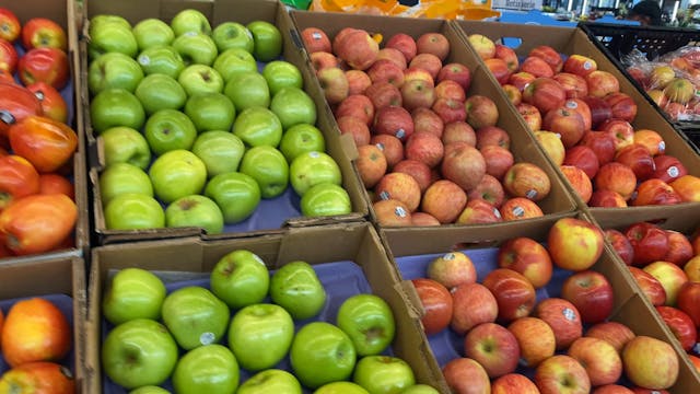 Apples