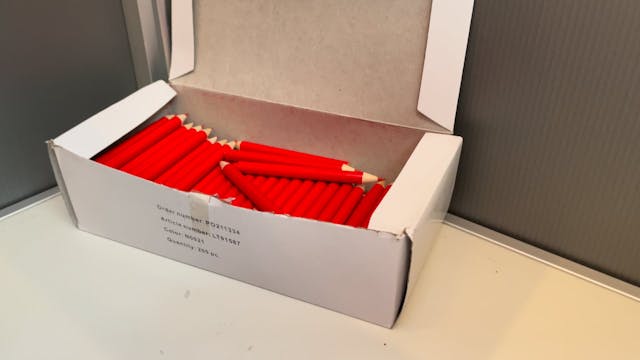 Voting in The Netherlands