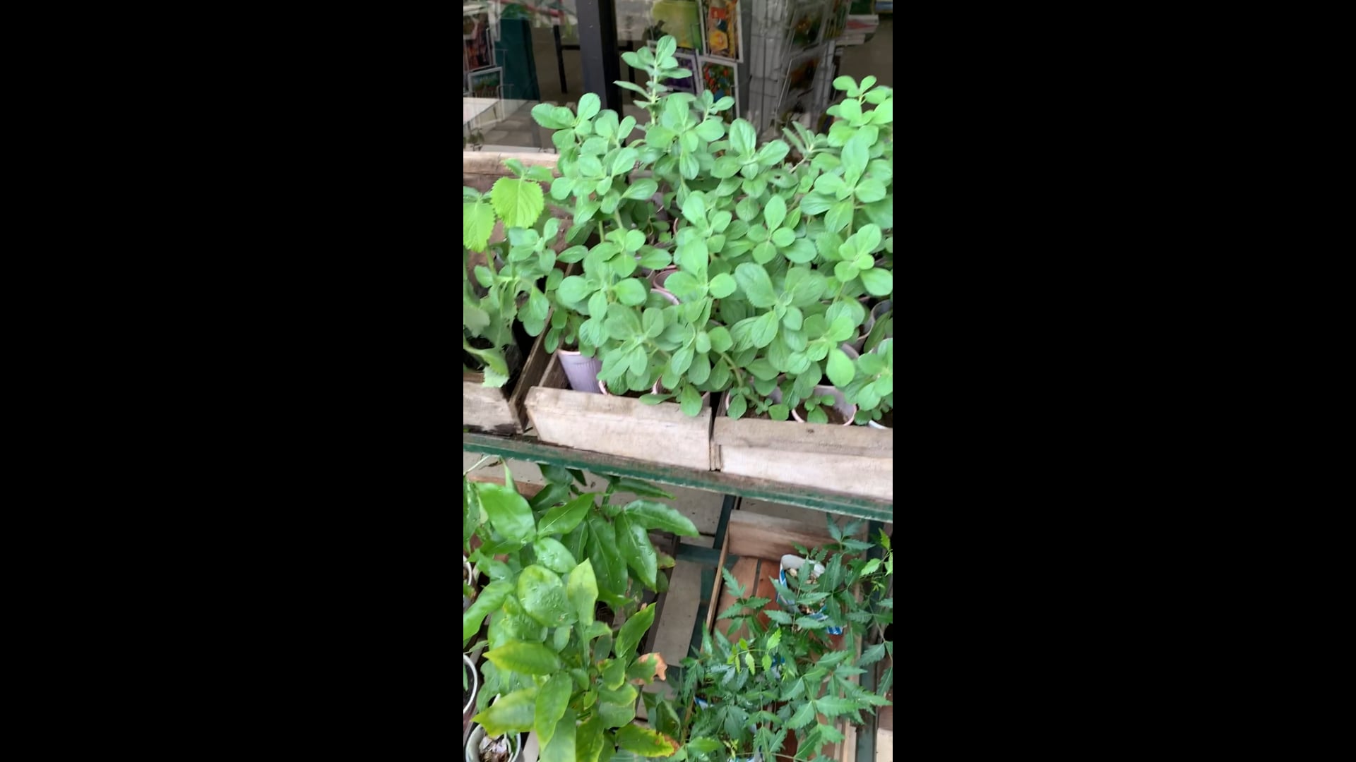 In suriname at the drug store