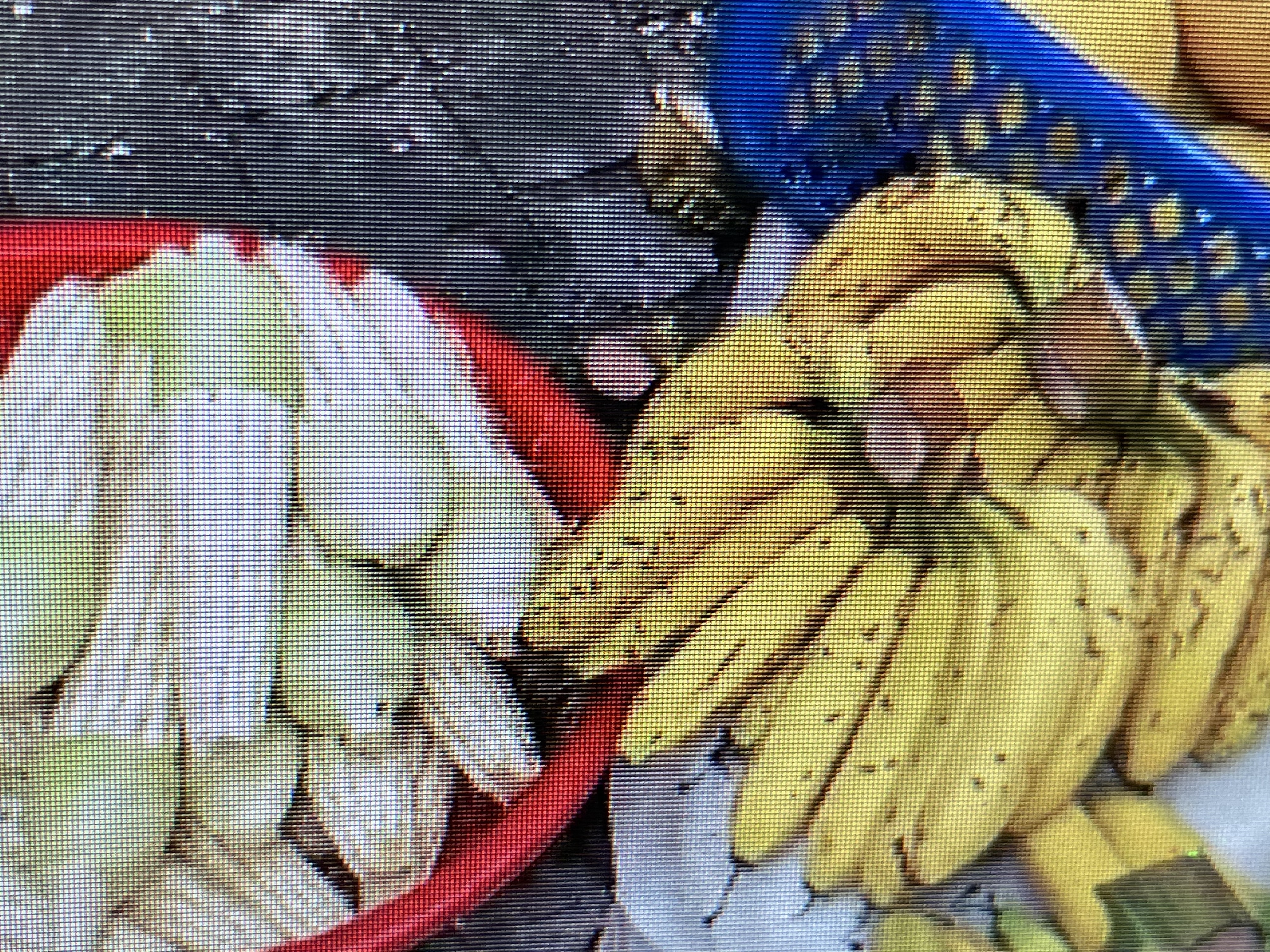 Bananas and more