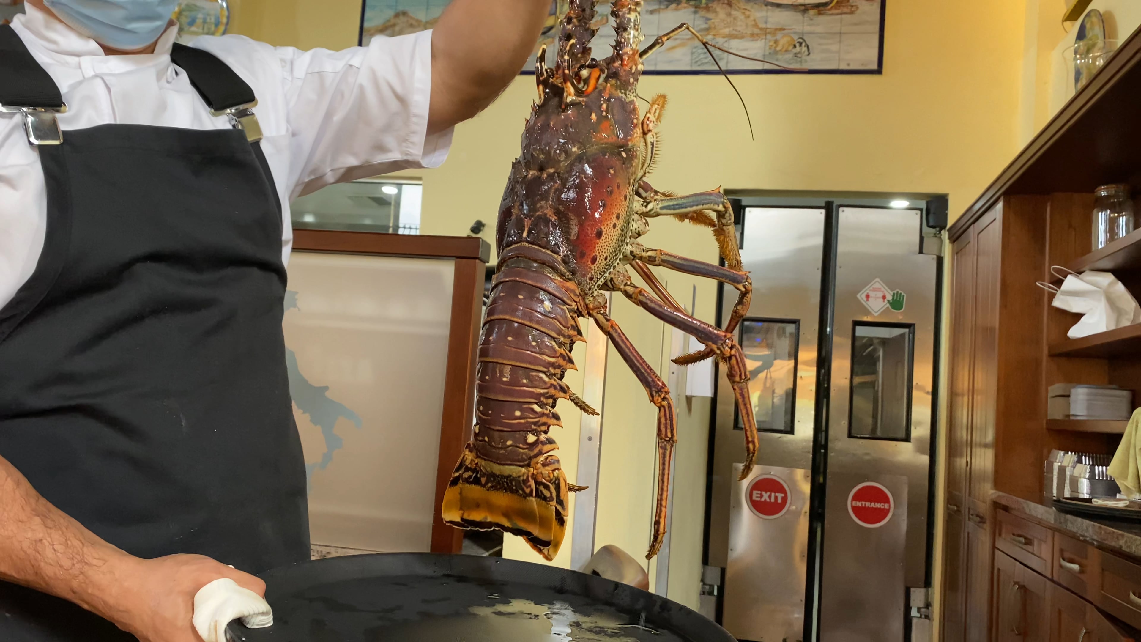 Lobster at Gianni's Sunday brunch in aruba
