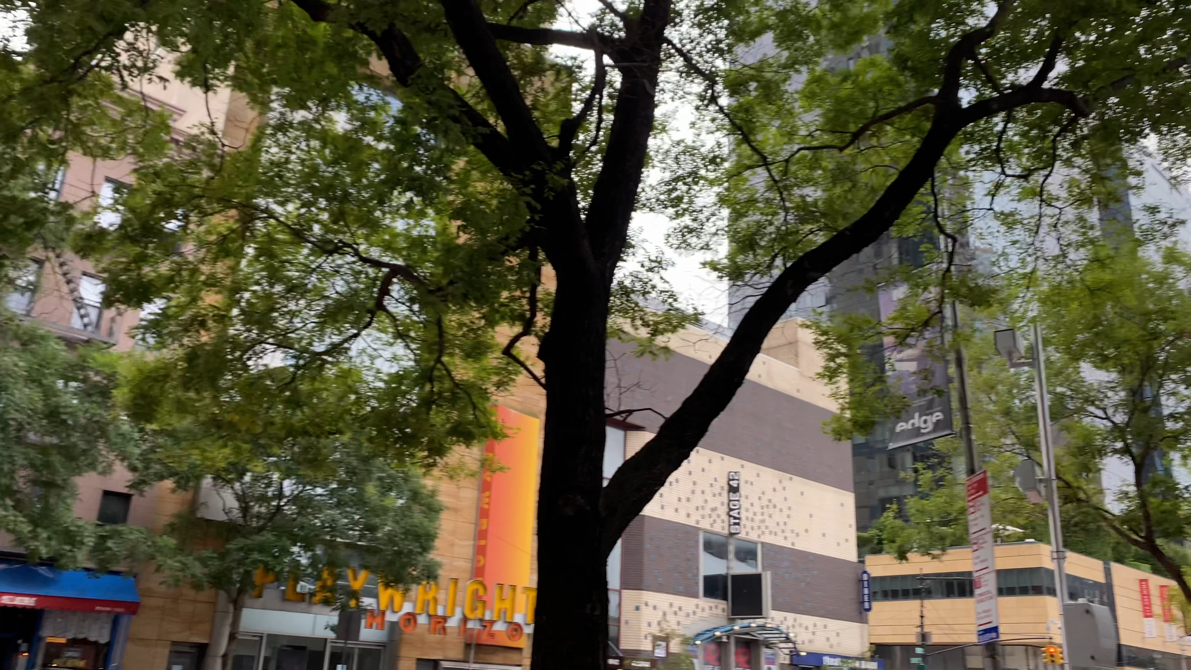 Chinese meal at 42nd st