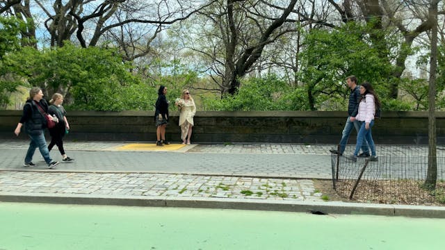 Central Park, a bride