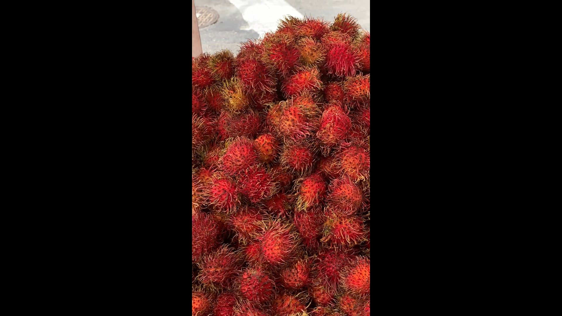 Rambutan