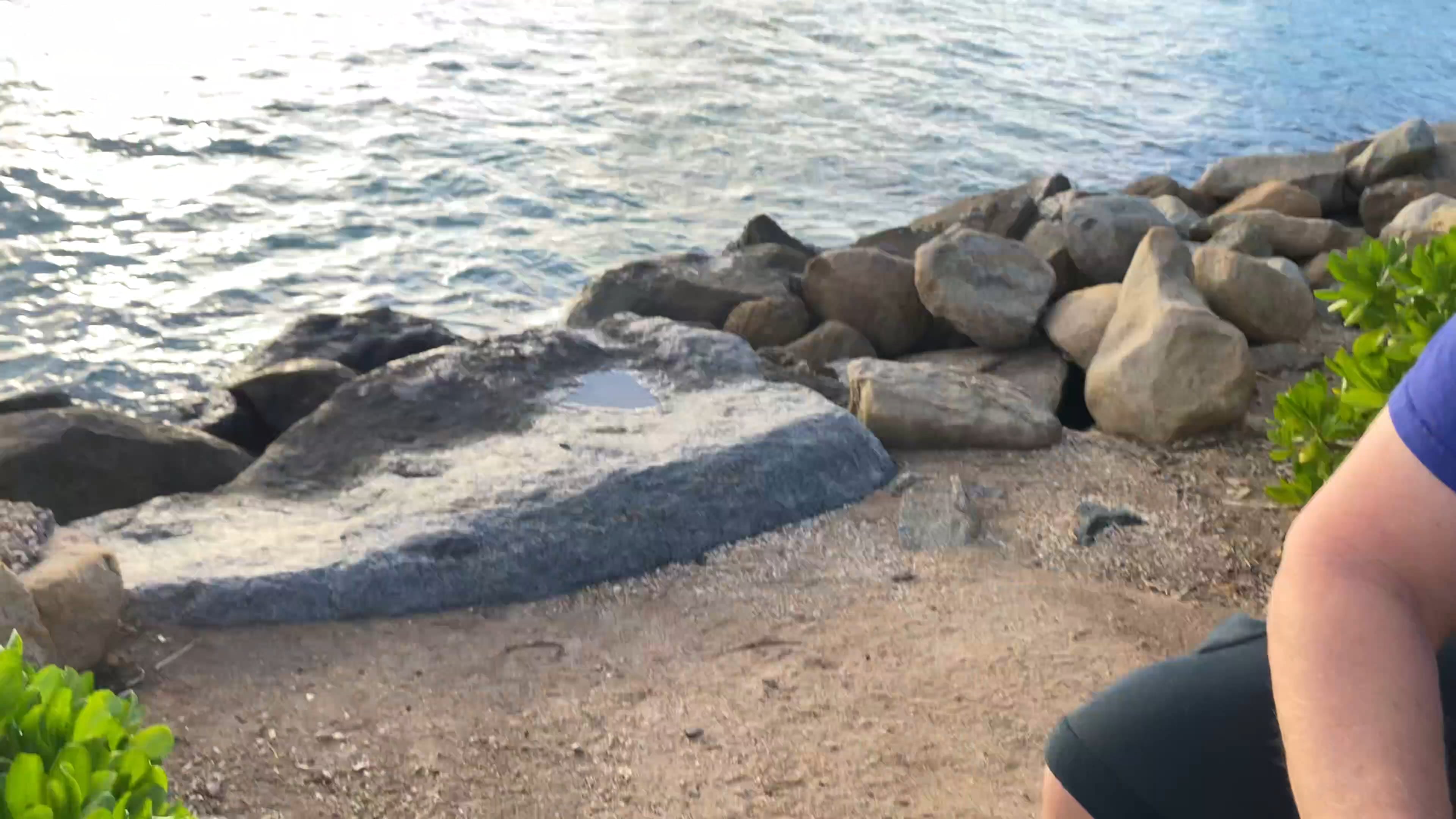 Casa Tua best pizza in town