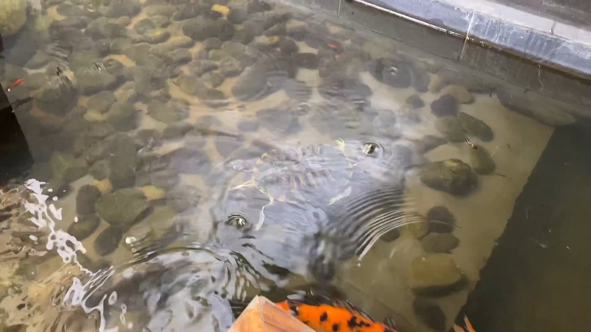 My hotel in Cambodia