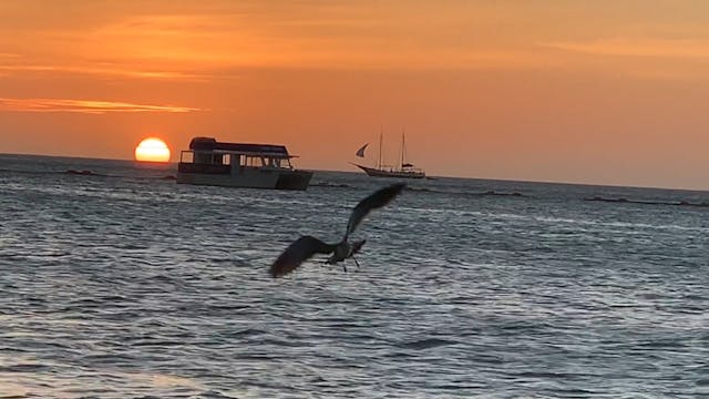 Amazing sunset in Aruba