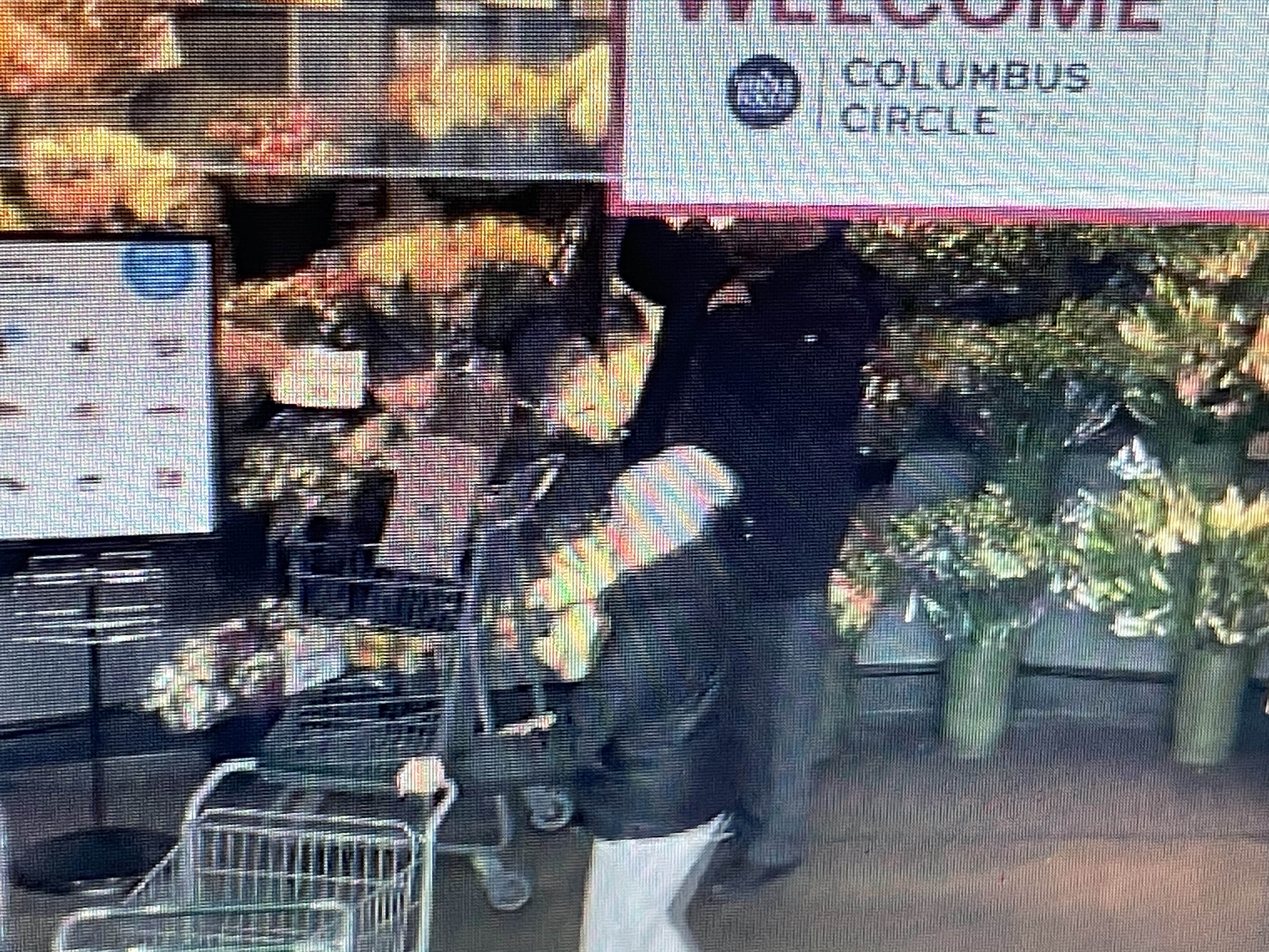 Welcome to my favorite grocery shop