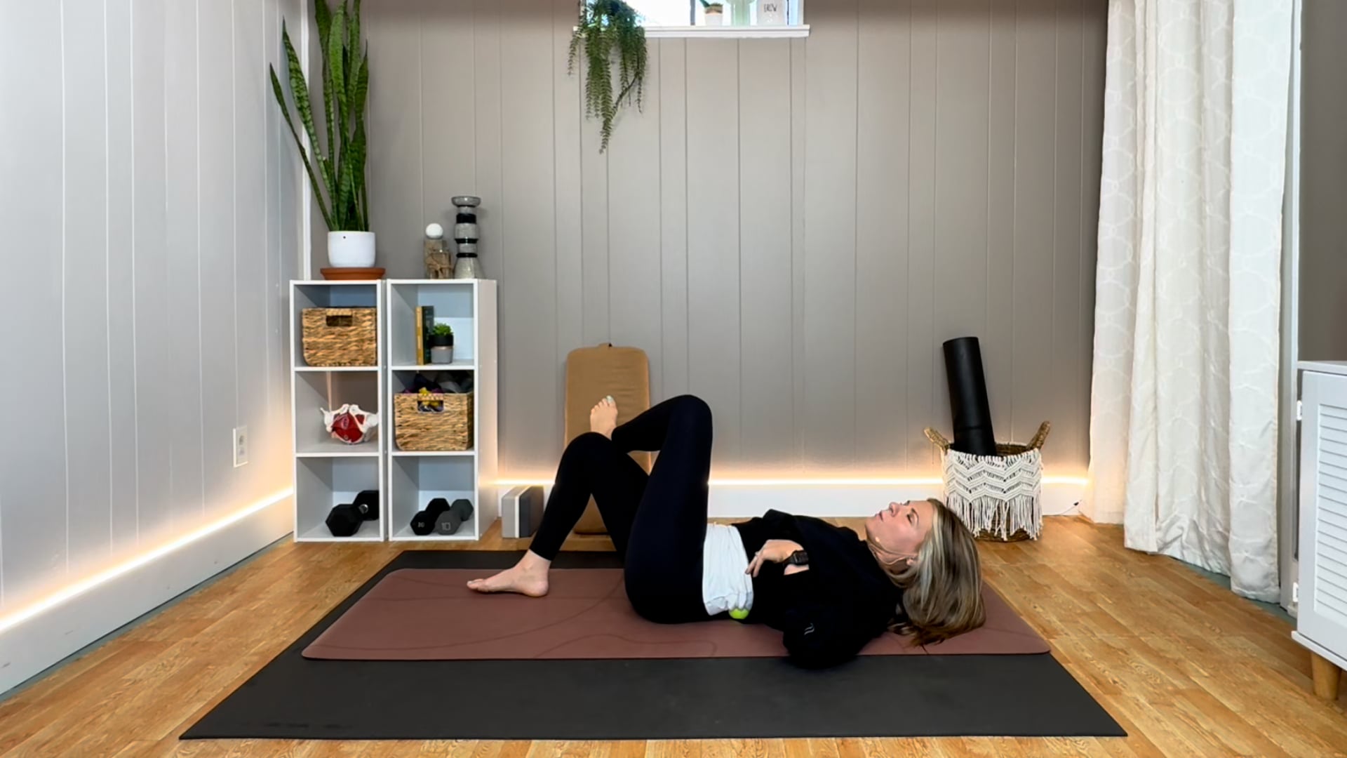 Myofascial Mini : Low Back