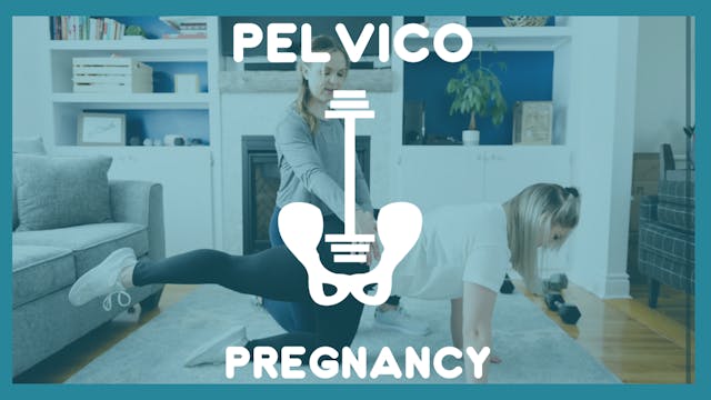 Workout 6 - Pregnancy