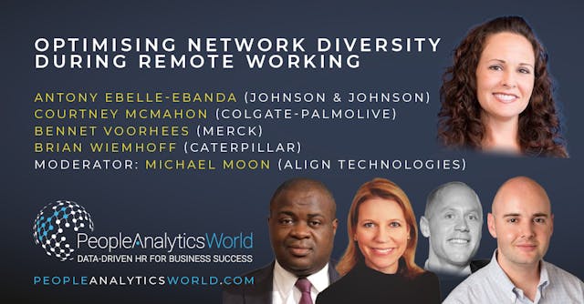 Optimising Network Diversity during R...