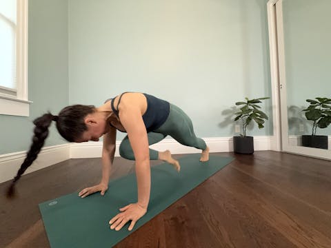 Body Flex - Game Day