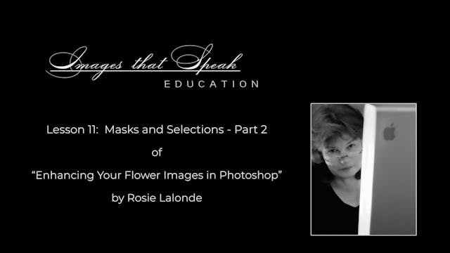 Lesson 11: Using the Lasso Tools to Assist in Editing