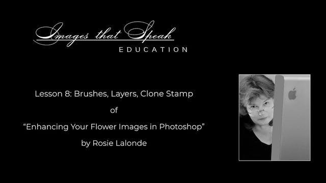 Lesson 08: Brushers, Layers, and the Clone Stamp Tool