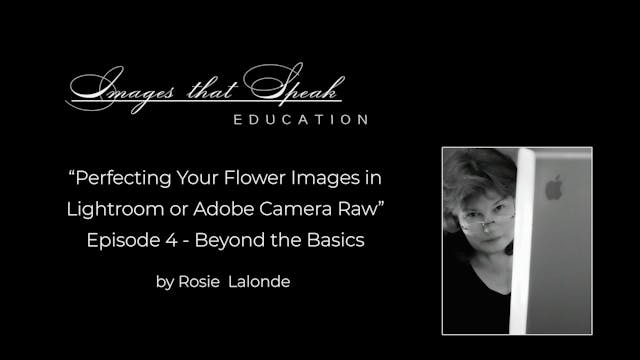 Lesson 04: Beyond the Basics