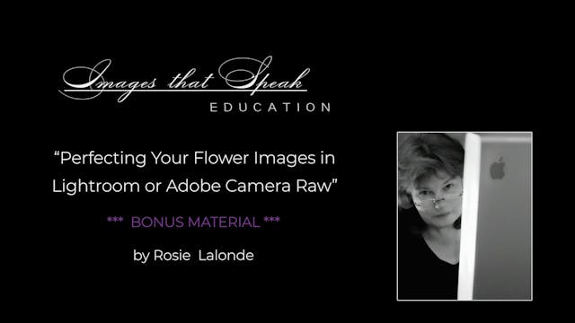 Lesson 05: Getting Creative in Lightroom or Adobe Camera Raw