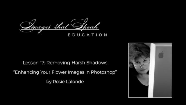 Lesson 17: Removing Harsh Shadows