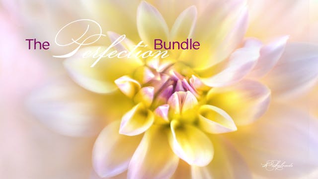 The "Perfection" Bundle