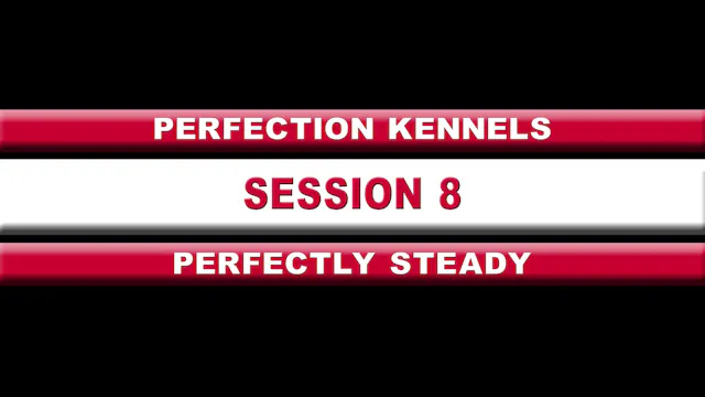 8th session