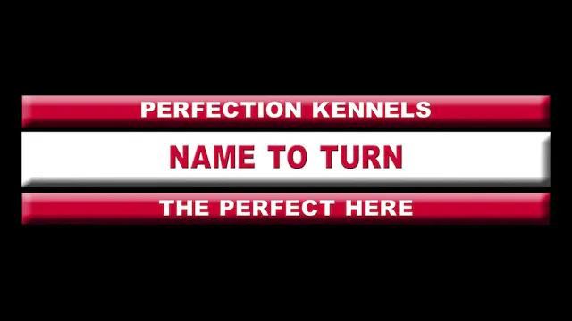 PERFECT HERE DISC 3