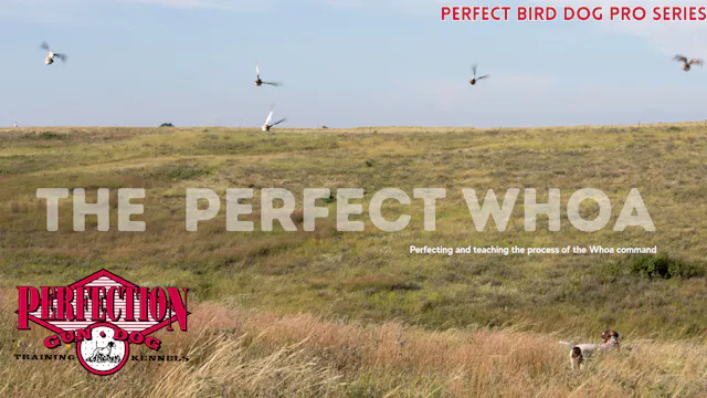 The Perfect Whoa