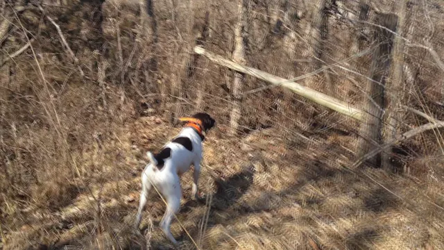 Perfect Retrieve