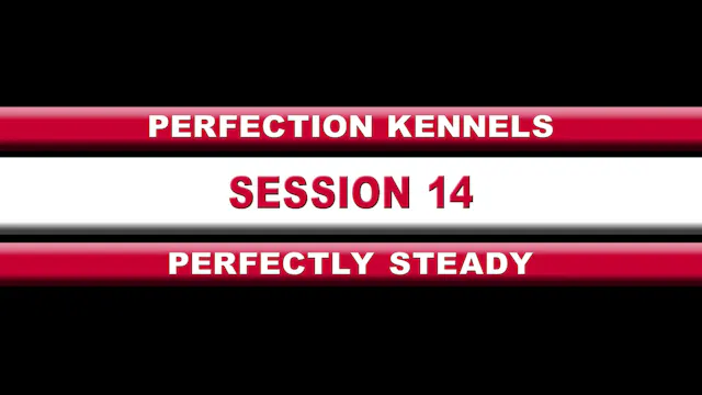 14th Session