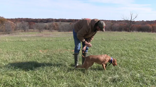 The Trained Retrieve Disc 2.