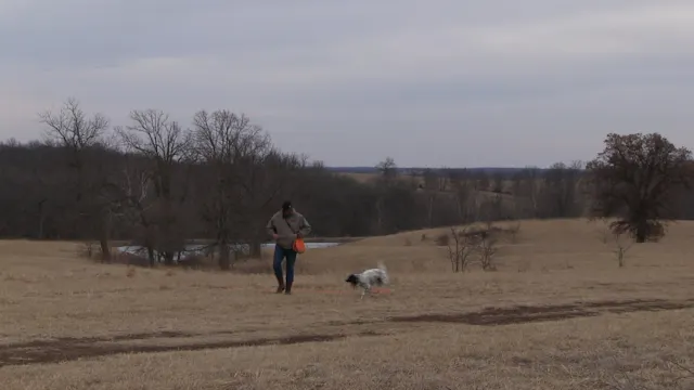 gunshydisc2