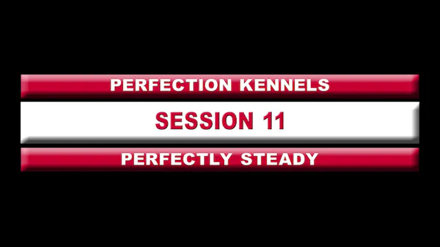 11th Session
