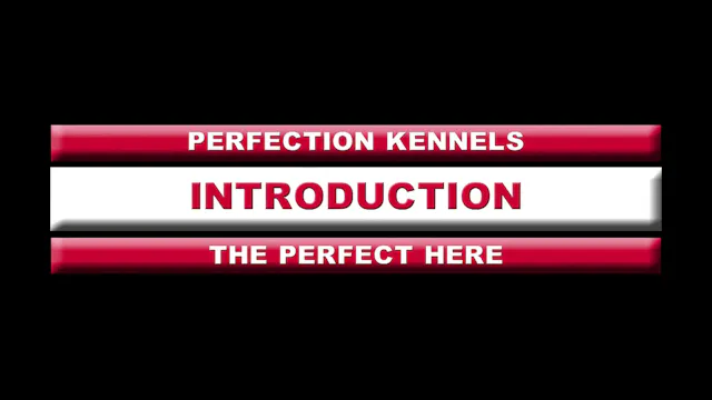 PERFECT HERE DISC 1 revised