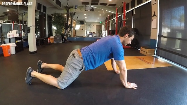 Buttress Plank with Elbow Tap